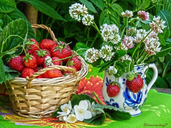 Летнего настроения и хорошего дня