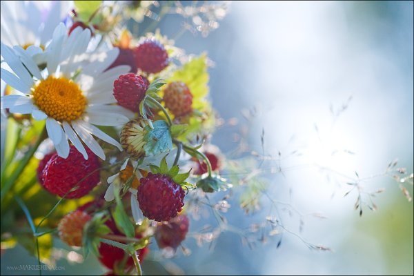 Доброе солнечное утро хорошего дня