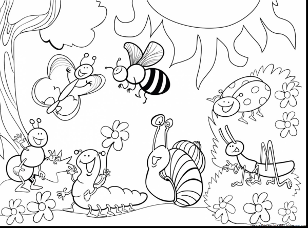 Раскраска Лесные насекомые