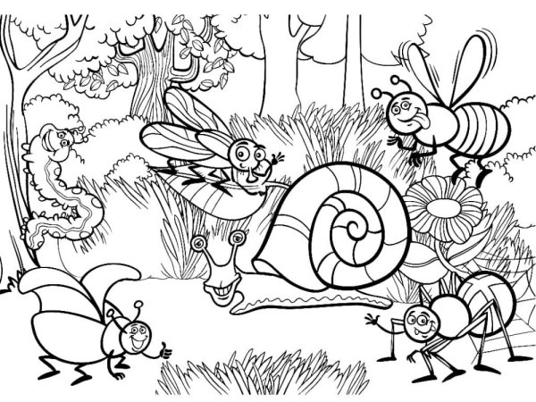 Насекомые. Раскраска