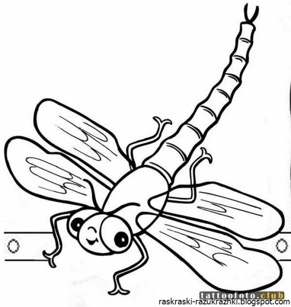 Божья коровка раскраска