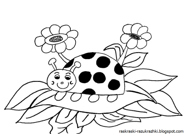 Насекомые. Раскраска