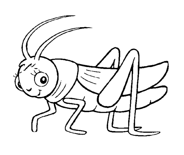 Насекомые раскраска для детей