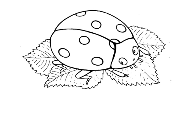 Раскраски насекомые: Анимированные картинки и гифки