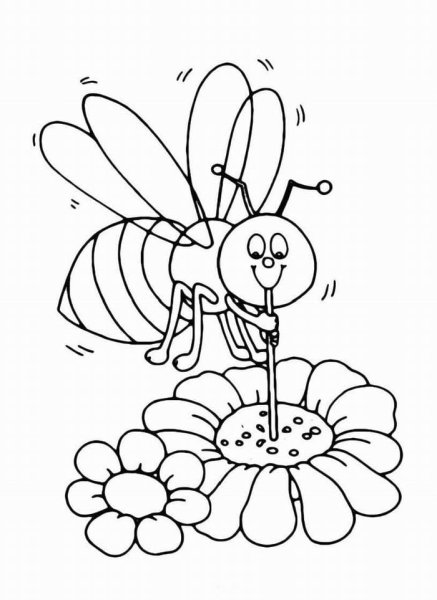 Раскраски для девочек 6 лет бабочки