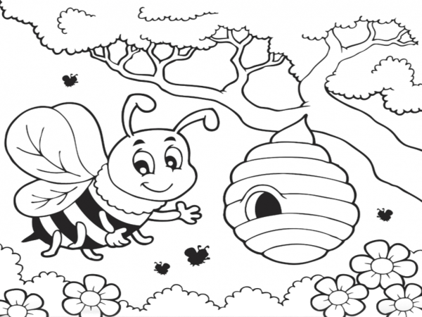 Раскраска насекомые пчела