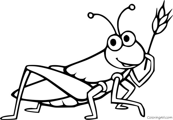 Стрекоза раскраска