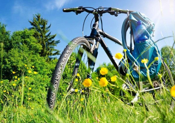 Велосипед Весна