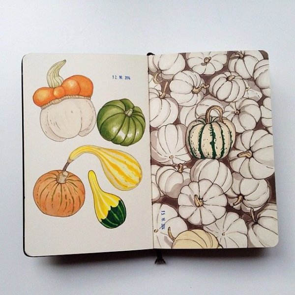 Скетчбук фрукты