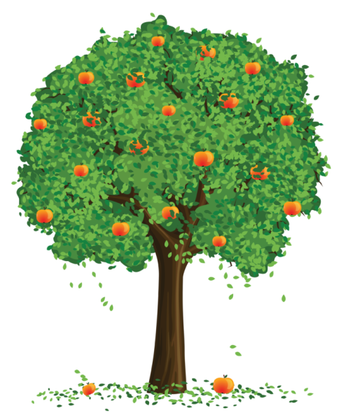 Летнее дерево