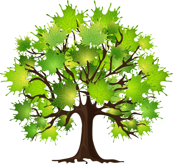 Дерево клен для детей