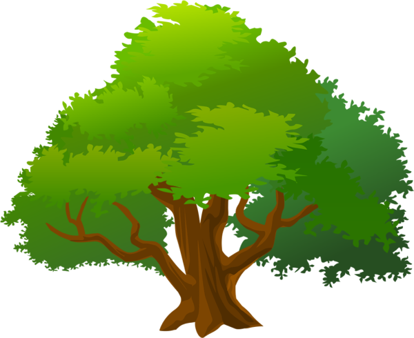 Векторное дерево