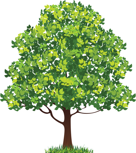 Дерево для детей