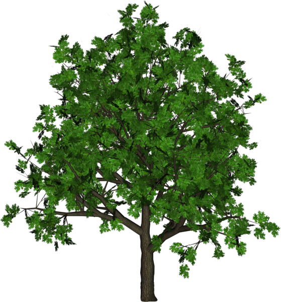 Мультяшные деревья