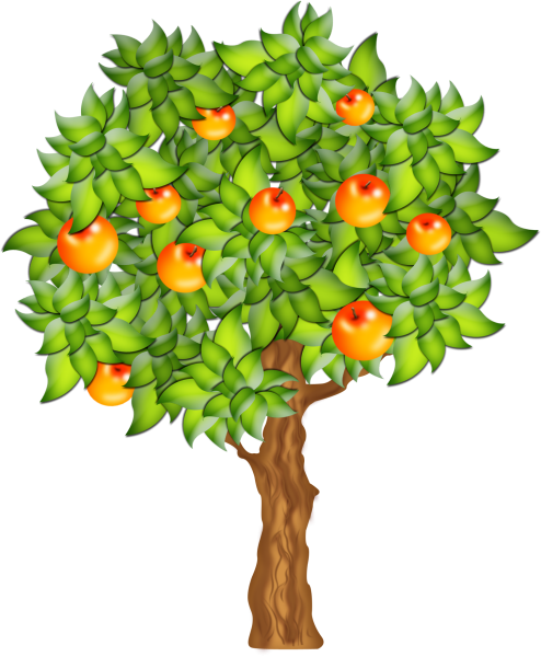 Береза для детей