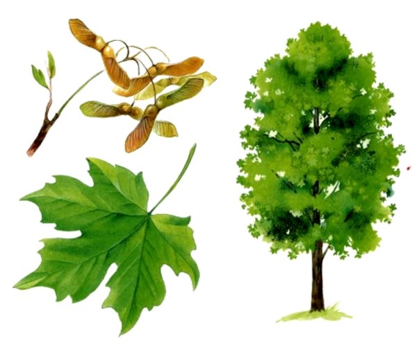 Мультяшный пейзаж