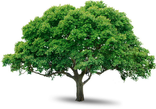 Кустарники мультяшные