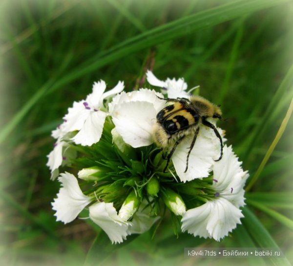 Доброе утро я хочу чтобы лето не кончалось