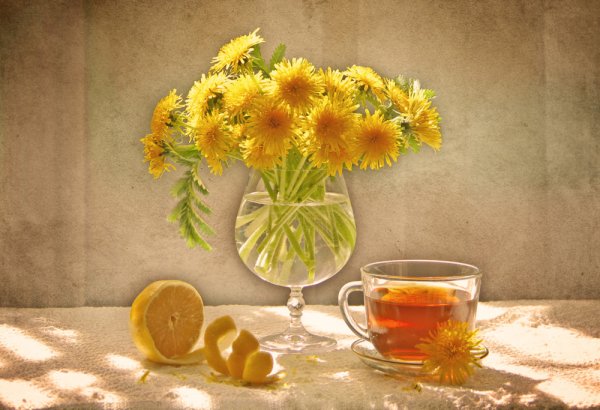 Счастье солнце