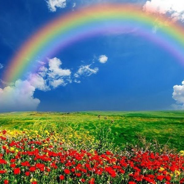 Радуга и солнце