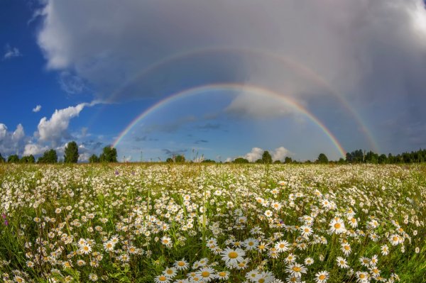 Солнечное небо