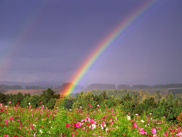 Радуга Рейнбоу в России