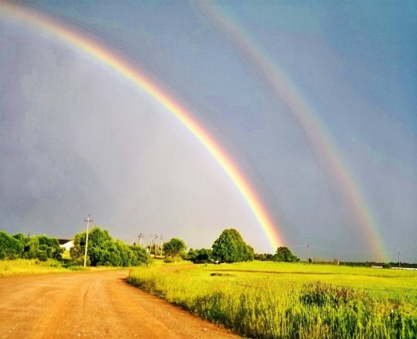 Радужное лето