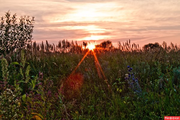 Последний день лета природа