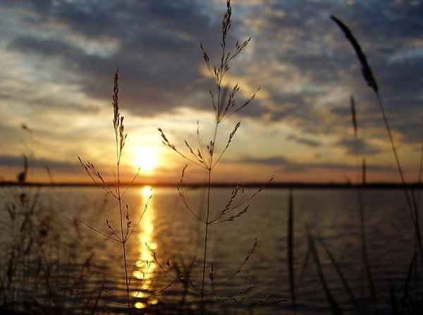 Поздравление спослдним днем лета