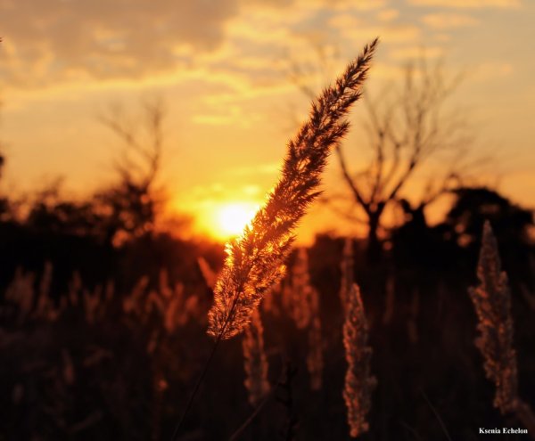 Последний день лета