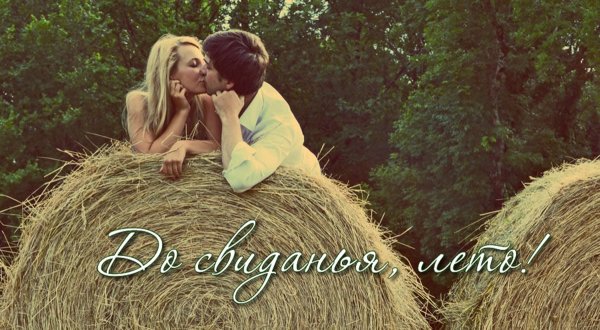 Отличного дня Подсолнухи открытка