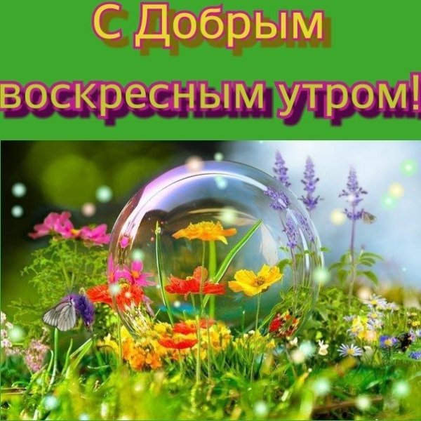 Открытки с добрым утром воскресенья