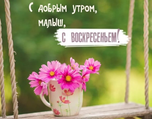 Доброе Воскресное у РО