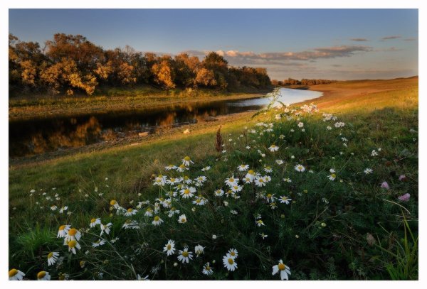 Завтра лето