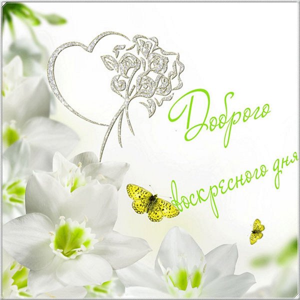 С добрым утром счастливого воскресенья