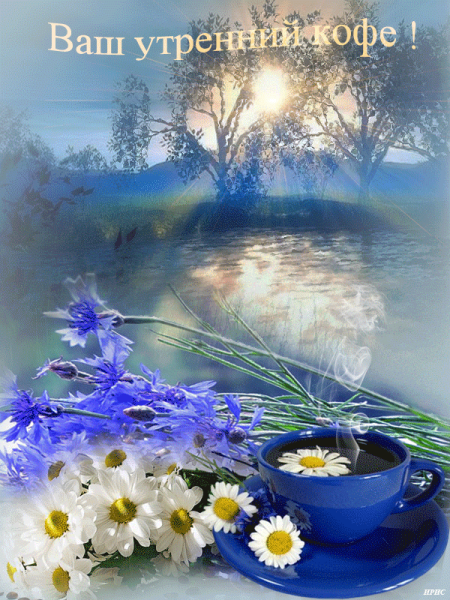 С добрым утром воскресенья