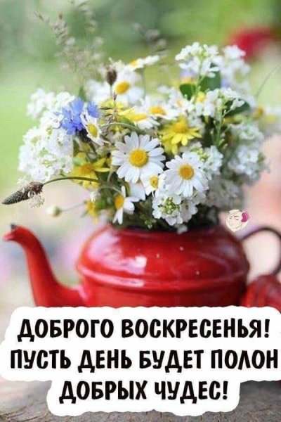 Хорошего воскресенья