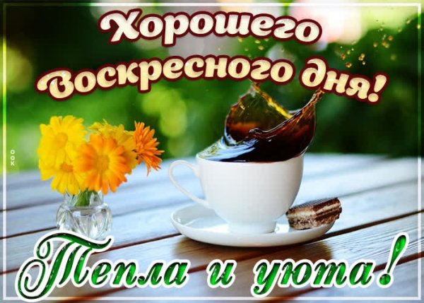 С добрым воскресным утром