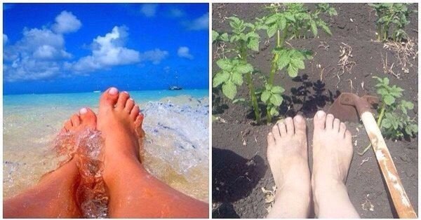 Смешное о лете