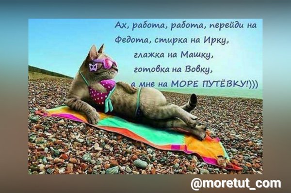 Скоро лето цитаты