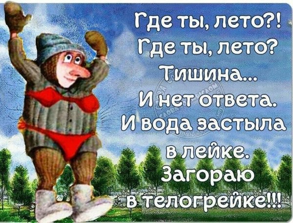 Прикольные выражения про лето