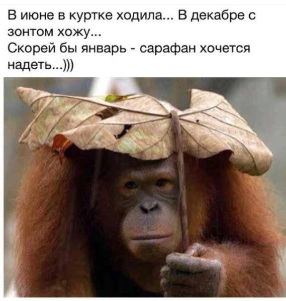 Шел второй месяц лета