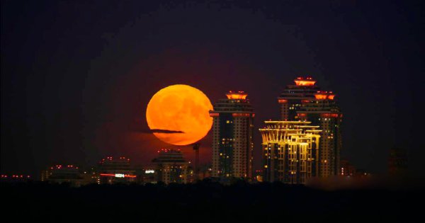 Майская ночь