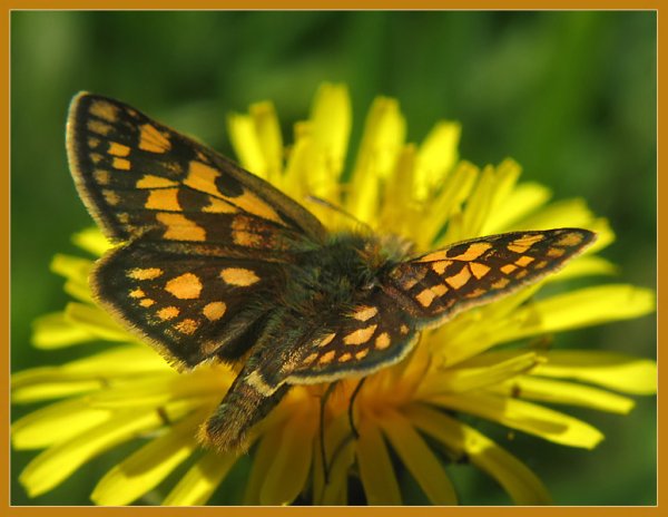 Лучшие дни еще впереди