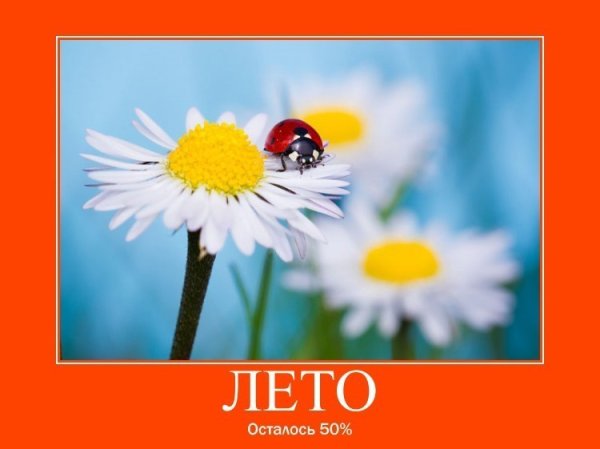 Рисунок лето