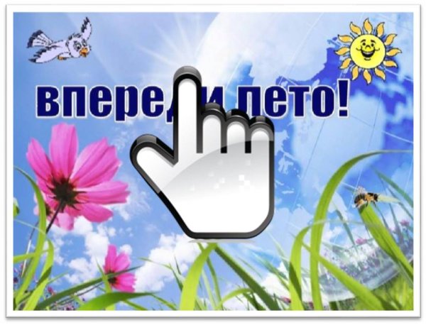 Впереди лето картинки