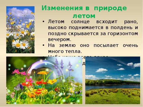 Впереди лето