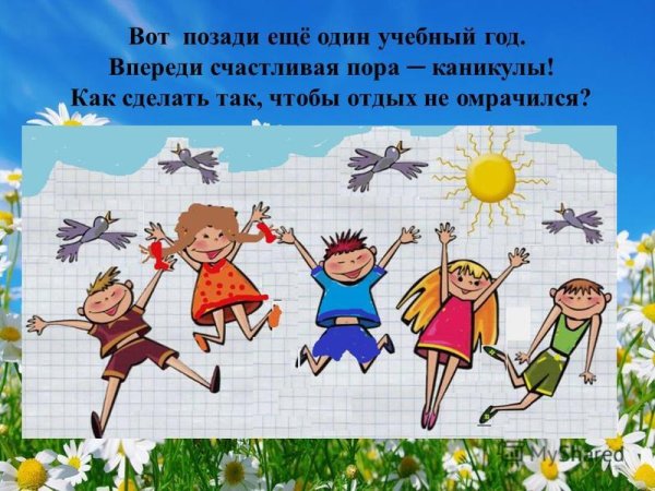 Бабочки на лугу