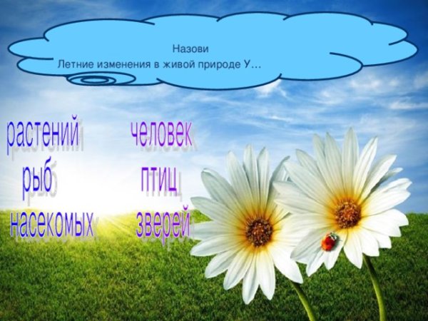 Лето для детей в детском саду