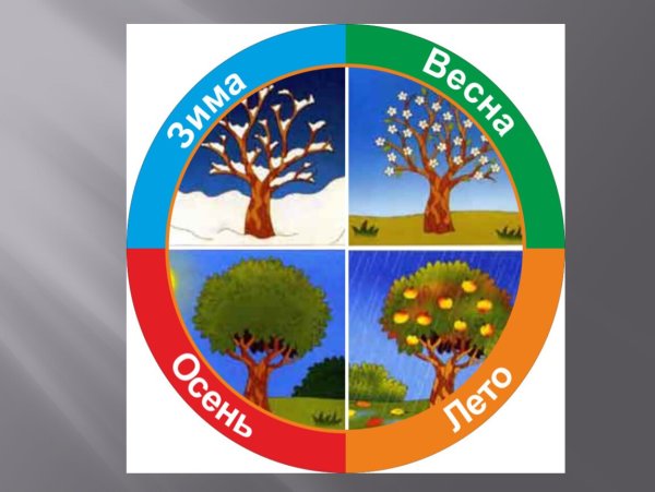 Календарь природы дерево